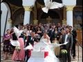 fotografii nunta Sibiu (35)